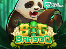 Casino free spins bonus. Dream game casino.61